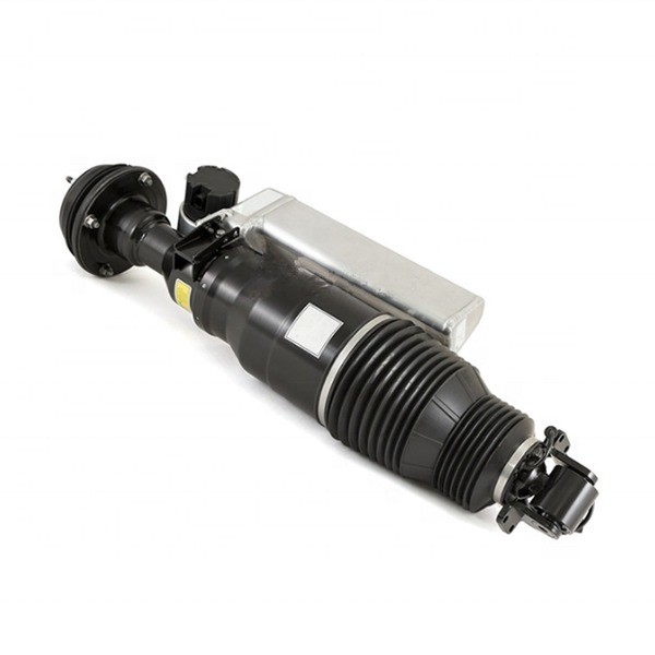 Professional MAYBACH 57 AND 62 FRONT-L HYDRAULIC SHOCK ABSORBER OEN No. 2403201913 Limit Load 8 for Your Distribution